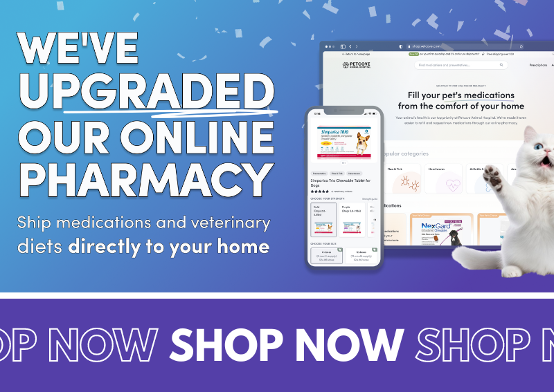Carousel Slide 6: Shop our online pharmacy >